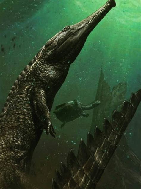 Machimosaurus Rex Paleontologists Find Largest Marine Crocodile Ever