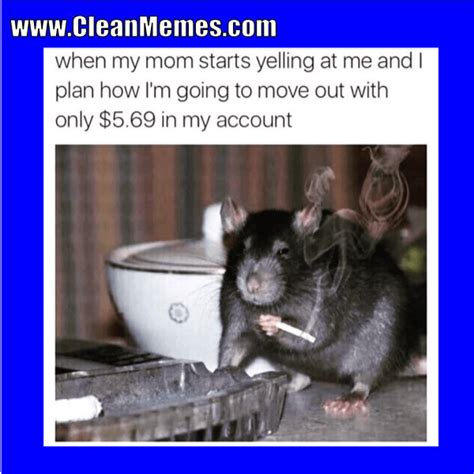 Since doggo memes got 1k views, let's try for that again! Clean Funny Images - Page 5 - Clean Memes