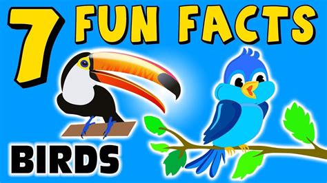 7 Fun Facts About Birds Bird Facts For Kids Parrot Toucan Learning