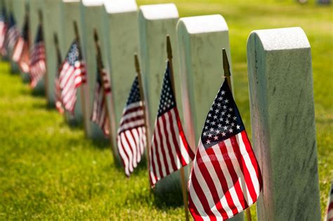 Authorities Blame Woodchucks After Vets Graves Are Missing Flags