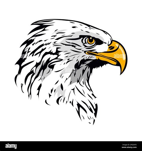 Eagle Head Mascot Bald American Eagle Head Colored Vector Illustration
