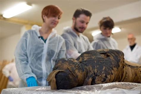 researchers discover the world s first pregnant egyptian mummy