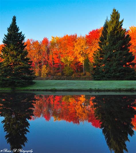 There is currently no additional information available regarding centennial park. "Autumn Symmetry" by Brian-B-Photography, via 500px ...