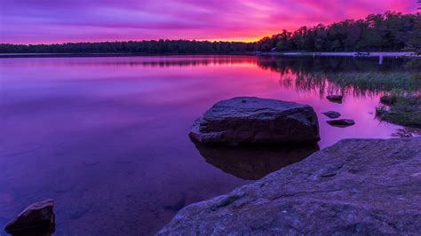 Beautiful Purple Scenery View With Reflection Of Trees On Water 4k
