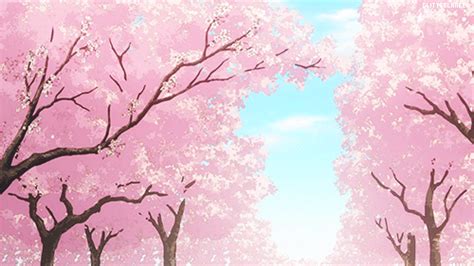 Pop Culture And Fashion Magic Pastel Pink Hair Sakura Backdrop