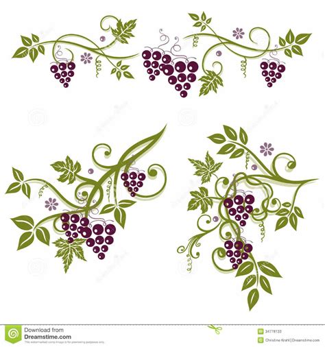 Download High Quality Grape Clipart Vine Transparent Png Images Art