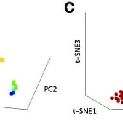 M bongini, m fornasier, f frcöhlich, l haghverdi. Laleh Haghverdi's research works | Helmholtz Zentrum ...