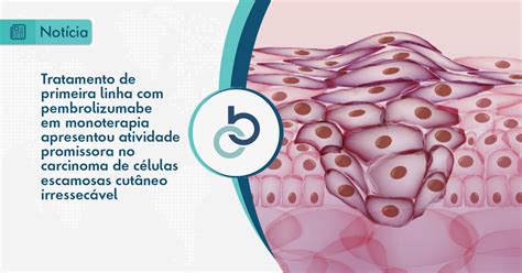 O Que é Monoterapia