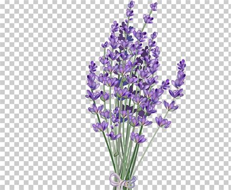 Lavender Flower Clip Art Free 10 Free Cliparts Download Images On