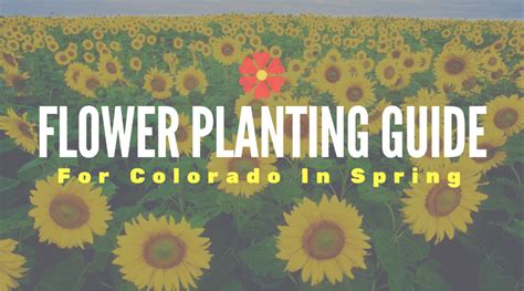 Check spelling or type a new query. Flower Planting Guide for Colorado in Spring - Union Colony Insurance