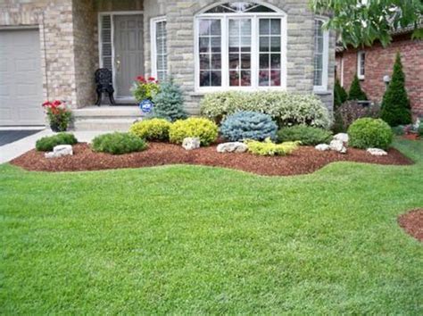 20 Front House Low Maintenance Landscaping Shrubs