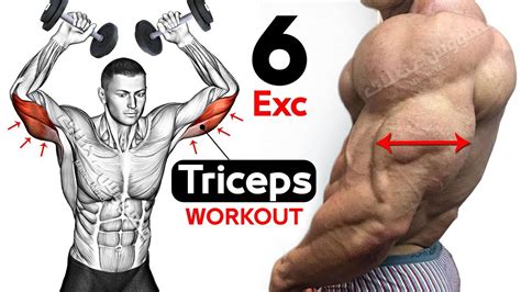 6 Best Exercise Grow Triceps Long Head Lateral Head Medial Head