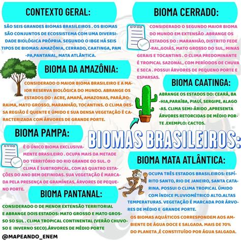Mapa Mental Sobre Bioma