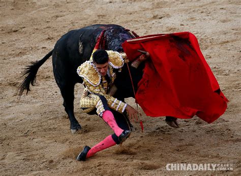 西班牙马德里举办斗牛集会 场面惊险看头十足 3 中国日报网
