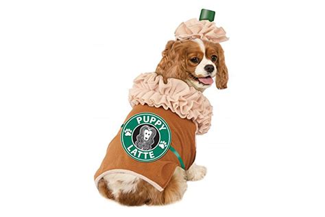 Dog Halloween Costumes Best Halloween Costumes For Dogs Readers Digest