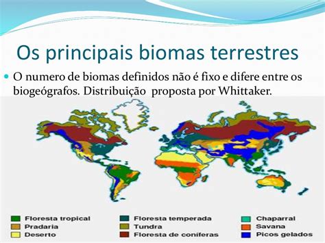 Biomas Do Mundo Mapa Mental EDUBRAINAZ