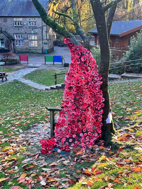 Remembrance Display 2023 Rivington Foundation Primary School In