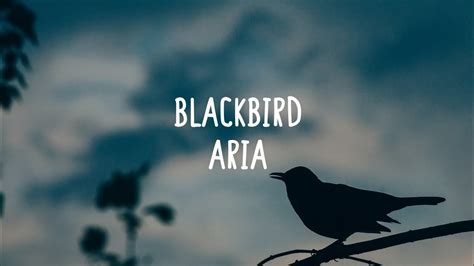 beatles cover by aria nanji blackbird lyrics youtube