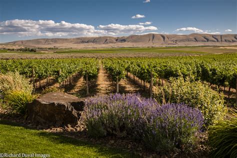 Maybe you would like to learn more about one of these? Red Mountain rises for crafting world-class grapes, wines