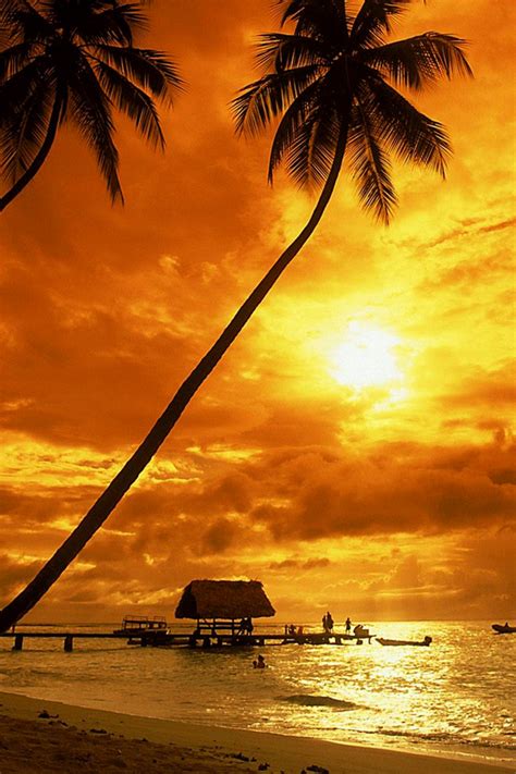 We would like to show you a description here but the site won't allow us. Wow 27+ Foto Wallpaper Senja - Richa Wallpaper