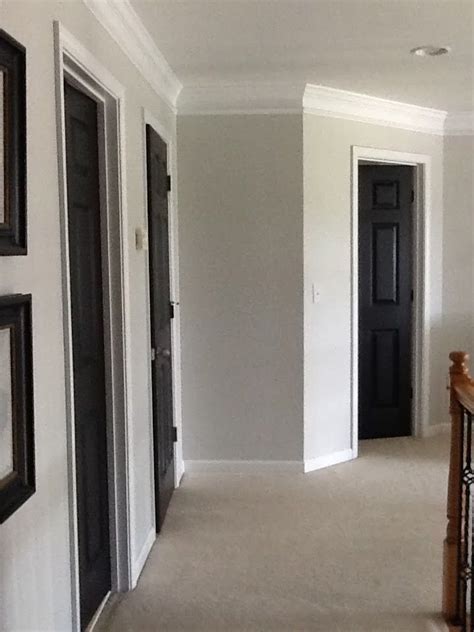 Crushed ice is a little lighter, slightly cooler and a little. Crushed Ice - Sherwin Williams | Black doors, Doors ...