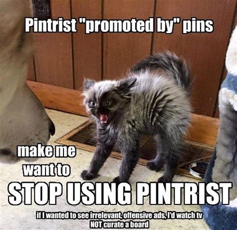 Pintrist Promoted By Pins Cats Cute Cats And Kittens Cats And Kittens