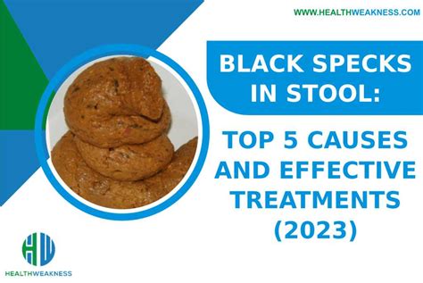 Black Specks In Stool Top 5 Causes And Effective Treatments 2024