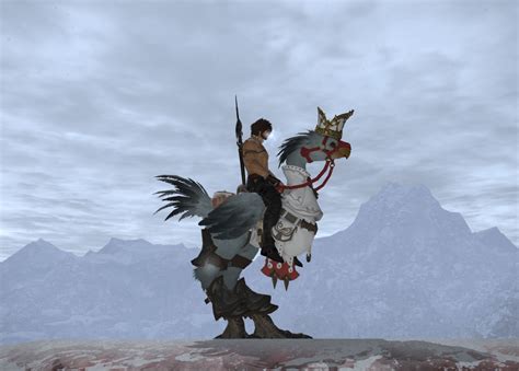 A gold chocobo can be born when a black chocobo is bred with a wonderful yellow chocobo, which can be captured near icicle inn (accompanied only by one or two jumpings), with a zeio nut (dropped/steal from goblins). Abrar Sb Blog Entry "Ice Blue Chocobo" | FINAL FANTASY XIV, The Lodestone