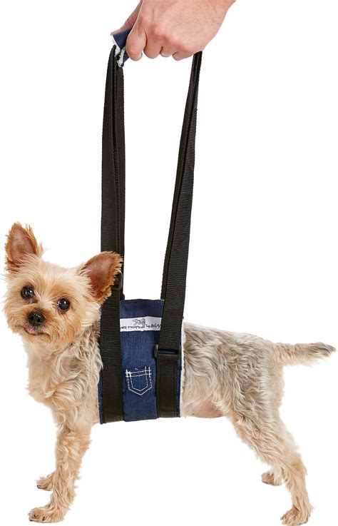 Small synonyms, small pronunciation, small translation, english dictionary definition of small. HandicappedPets Dog Support Sling, X-Small - Chewy.com
