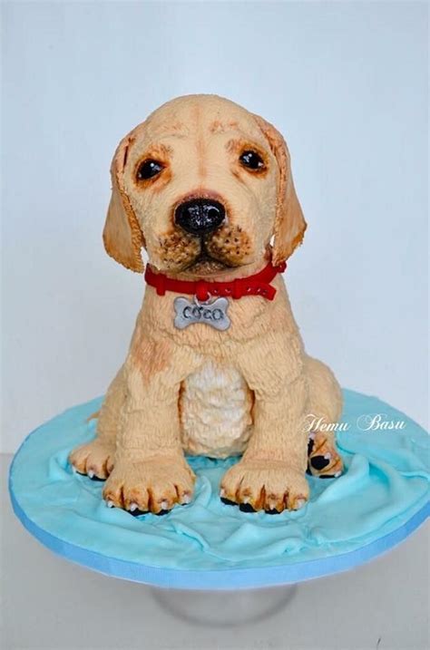 Labrador Puppy Cake Decorated Cake By Hemu Basu Cakesdecor