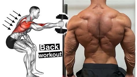 Exercises to build back muscles quickly 