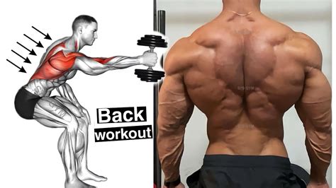 Exercises To Build Back Muscles Quickly Youtube