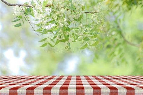 Red Picnic Table And Nature Background Stock Photo Image Of Healthy