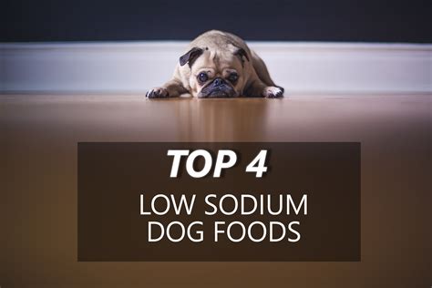 The Best 4 Low Sodium Dog Foods