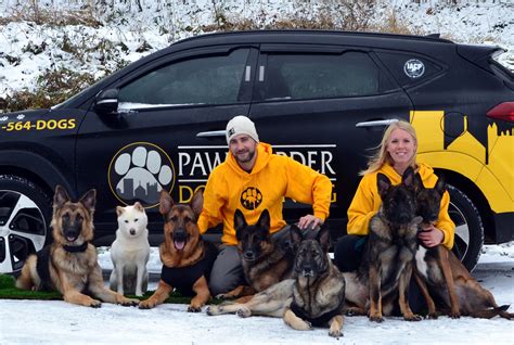 Dog Days Of Summer Paw And Order Dog Training — Marketing Pittsburgh