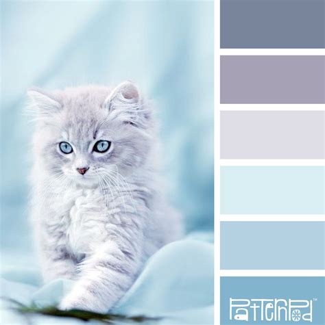 Use one of that color palettes to start to build awesome things. Baby Blue #patternpod #patternpodcolor #color # ...