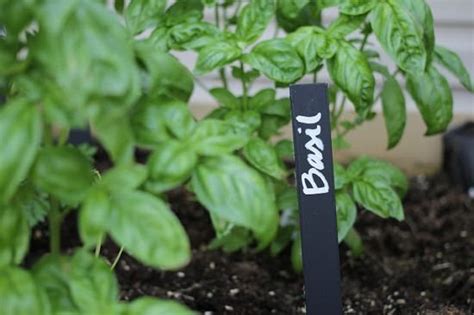 32 Cute Diy Plant Marker Ideas For Container Gardeners Balcony Garden Web