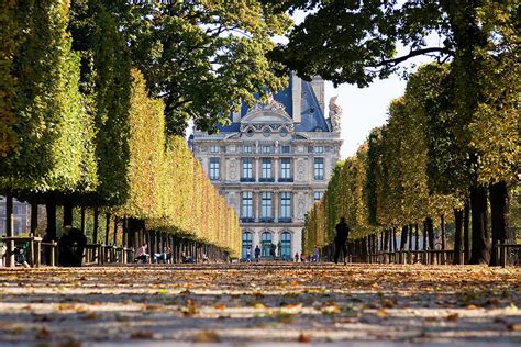 Paris Louvre From Tuileries Gardens In Fall Photograph By Mathew Lodge