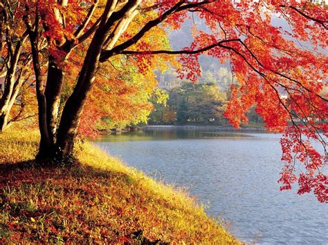 pin by dave broeker on autumn beauty fall foliage autumn beauty nature