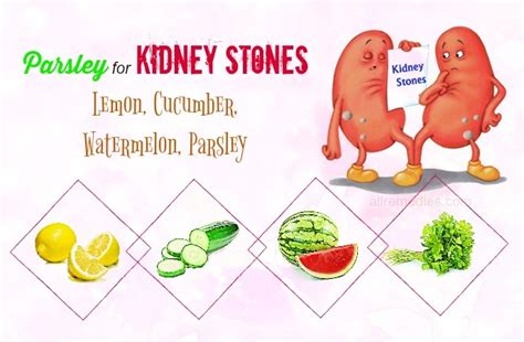 8 Treatment Methods How To Use Parsley For Kidney Stones Removal