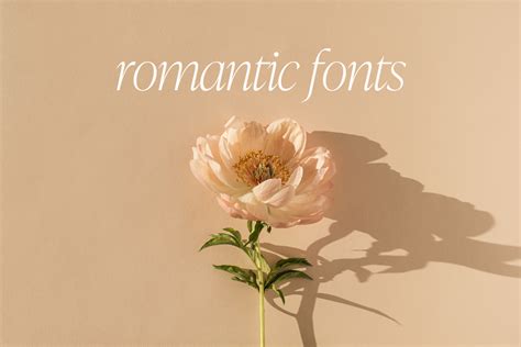 Romantic Fonts For Design And Branding In 2023