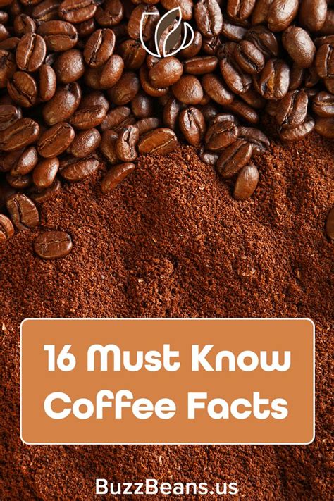 16 Of The Most Amazing Coffee Facts That Youll Ever Learn Coffee
