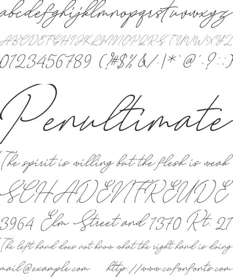 You can use these fonts to create custom styles. August Script Bold free Font : Download Free for Desktop ...