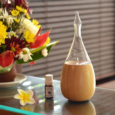 Reduce teething symptom immediately red cheeks, drool, colic, adhd, temper, mood Amazon.com: Raindrop Nebulizing Essential Oil Diffuser By ...