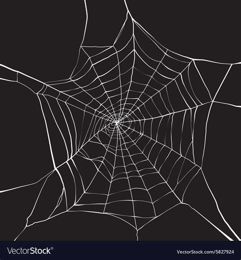 Spider Web Royalty Free Vector Image Vectorstock