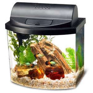 Black 1 Gallon Aquarium, Fish Tank for Beginners eBay