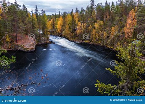 Amazing Autumn Landscape With Blue River And Yellow Forest Oulanka