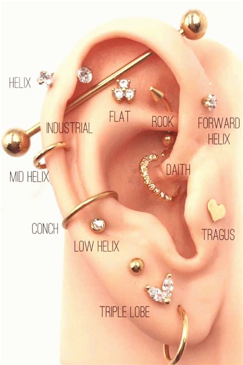 pircing ear piercings chart cool ear piercings types of ear piercings