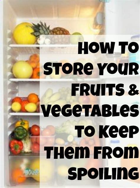 How To Store Fruits And Vegetables To Keep Them From Spoiling So Many