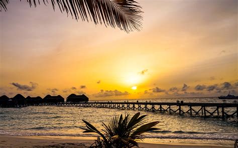 Beautiful Tropical Nature Palm Trees Bridge Resort Huts Sea
